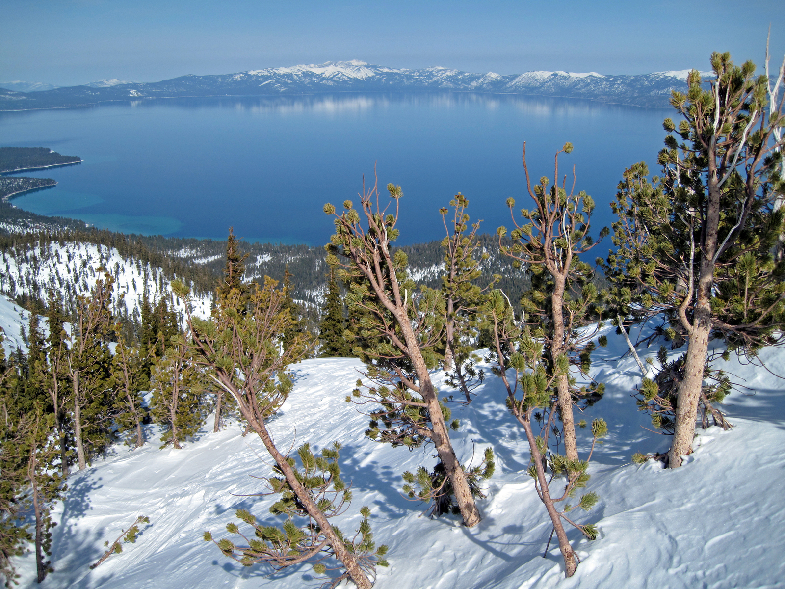 view from atop Jake's Peak, west shore Lake Tahoe