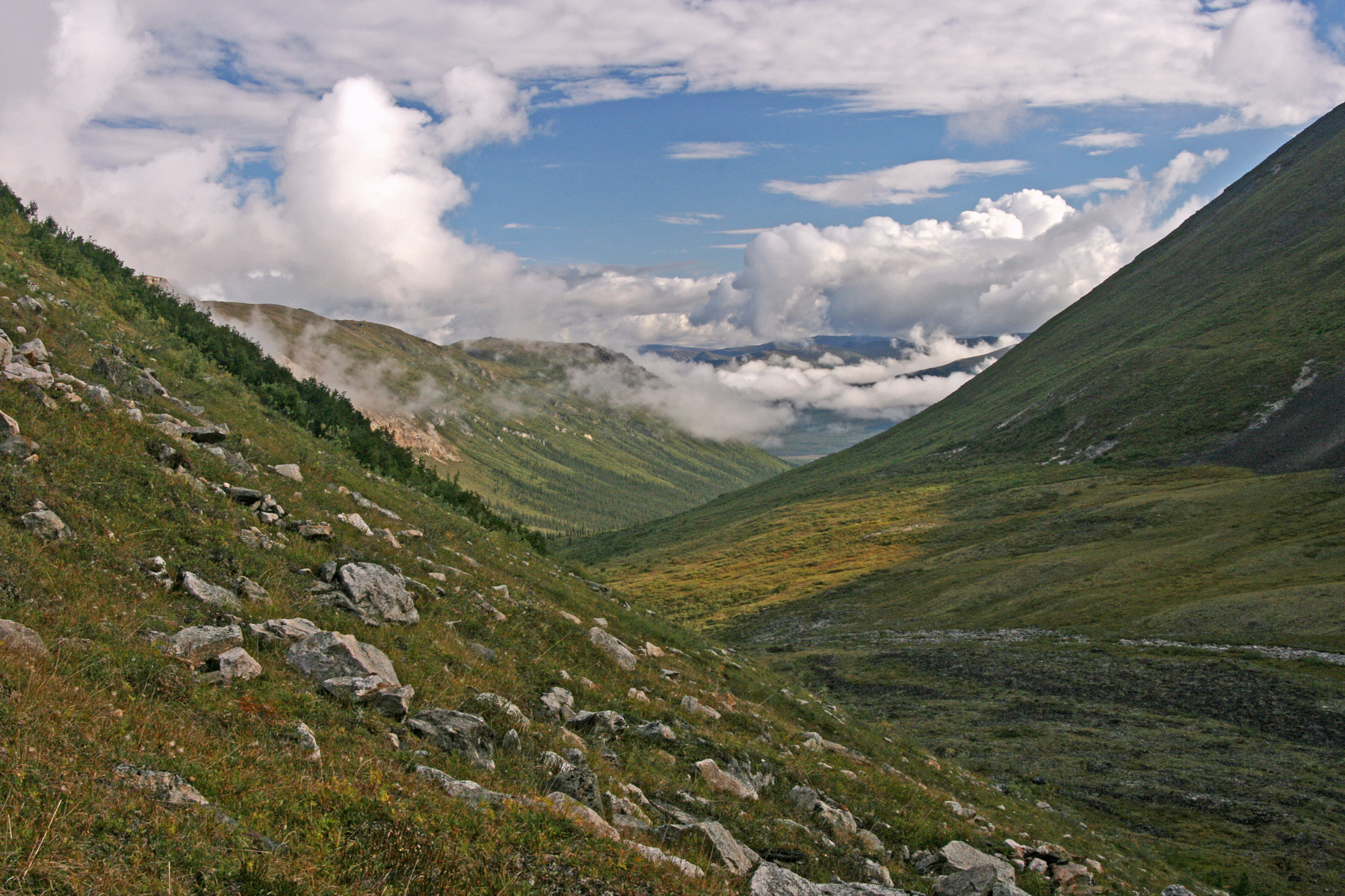 tundra in the Arrigetch Peaks region, Gates of the Arctic National Park, Alaska